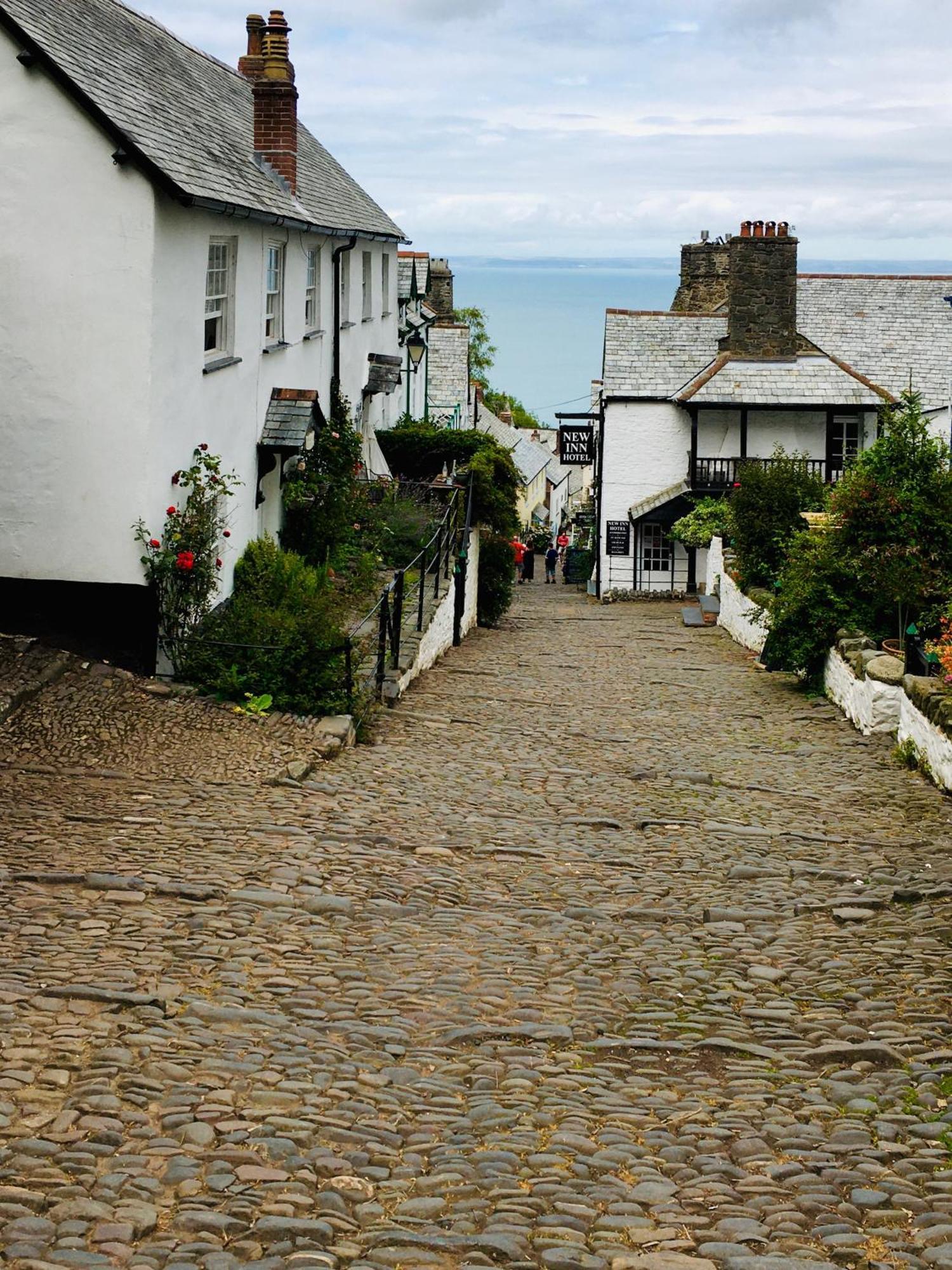 Petrock Holiday Cottages Newton Saint Petrock Exterior foto